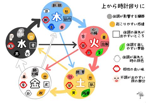 五行 体の部位|陰陽五行説と東洋医学の関係を解説！体質改善や美容。